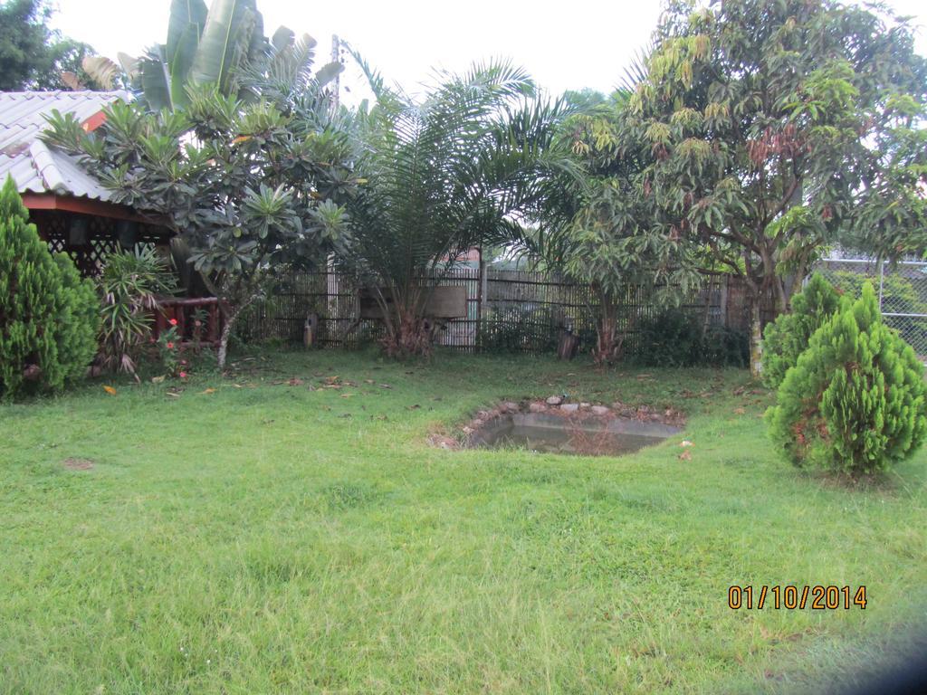 Orange Grove Resort Pai Esterno foto