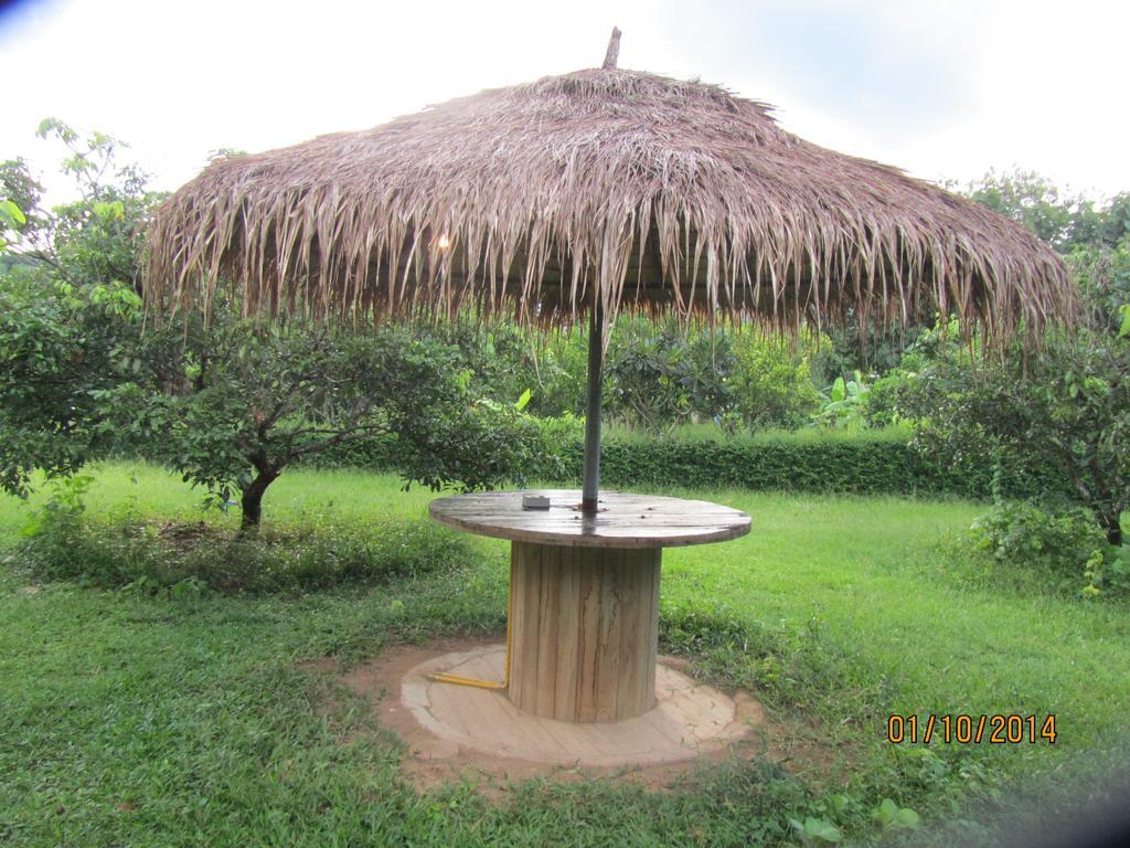 Orange Grove Resort Pai Esterno foto